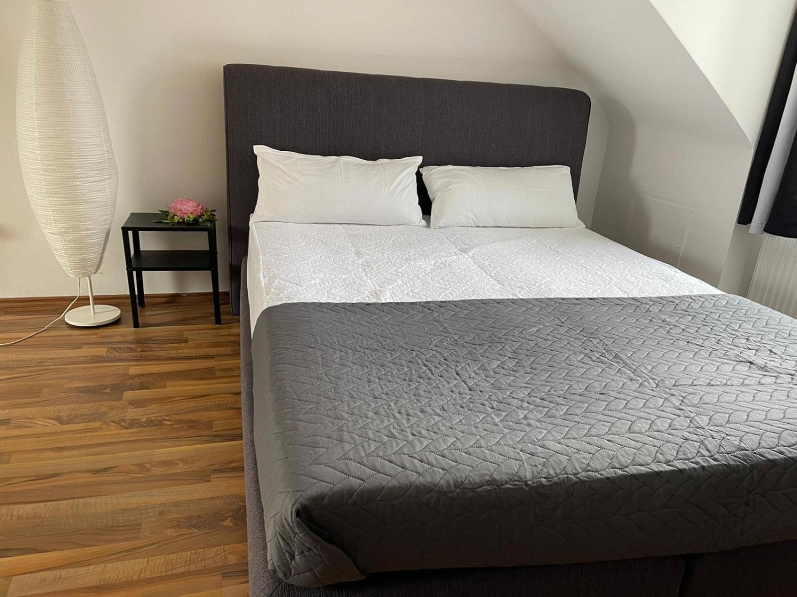 Geraeumige 3-Zimmer-Ferienwohnung Im Herzen Von Kassel Eksteriør billede